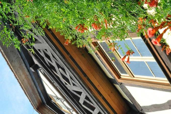 Gaestezimmer - Fuhrhalterei Maul Breuberg Kültér fotó