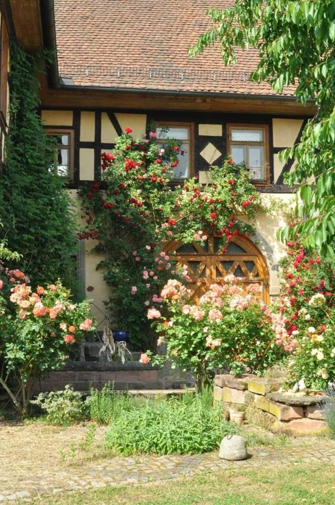 Gaestezimmer - Fuhrhalterei Maul Breuberg Kültér fotó