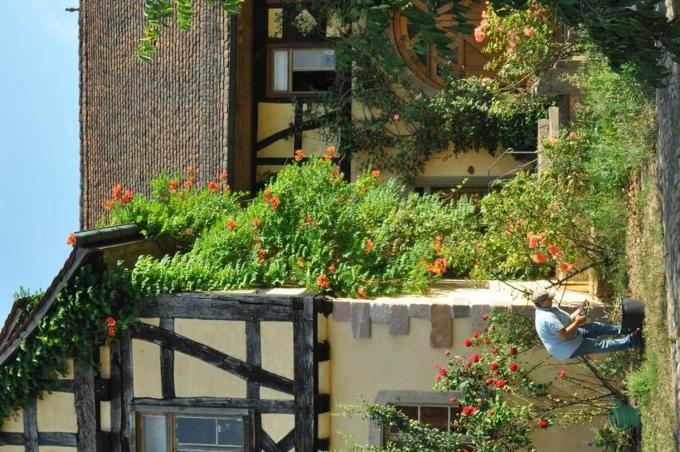 Gaestezimmer - Fuhrhalterei Maul Breuberg Kültér fotó
