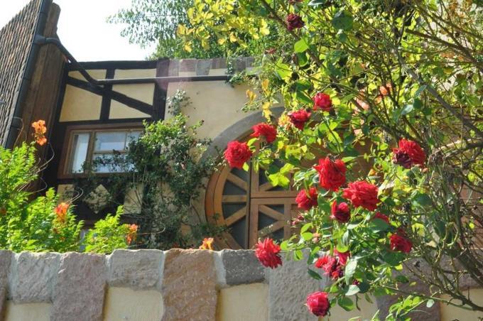 Gaestezimmer - Fuhrhalterei Maul Breuberg Kültér fotó