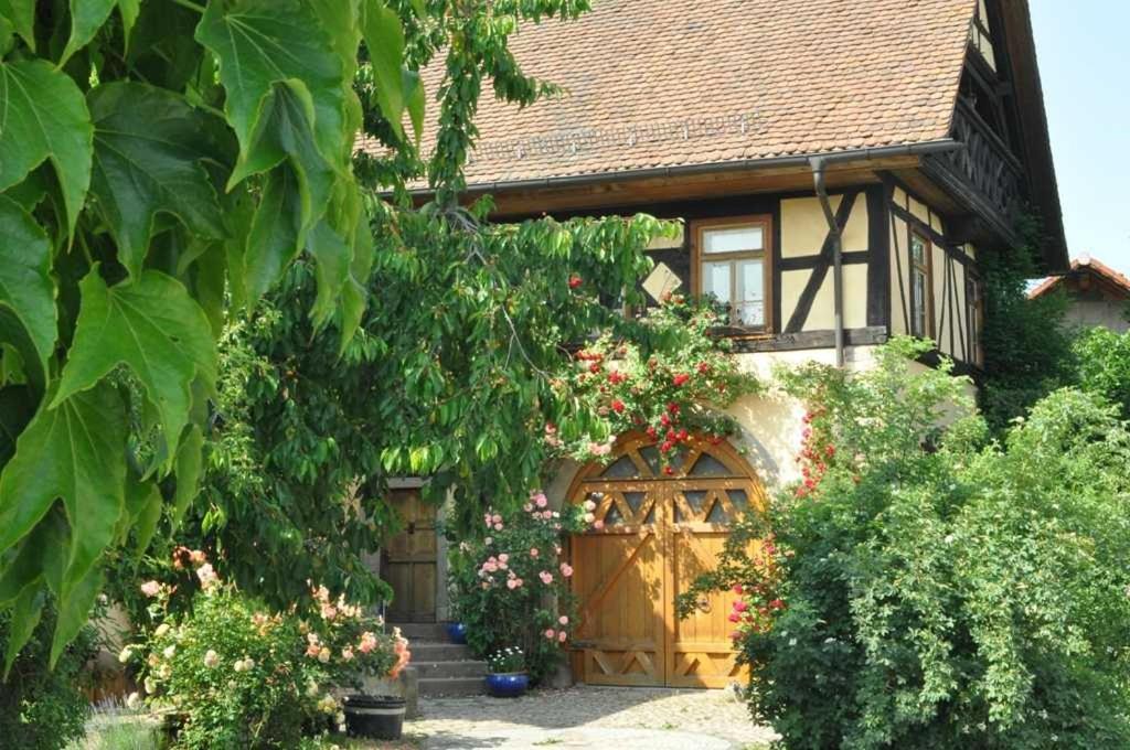 Gaestezimmer - Fuhrhalterei Maul Breuberg Kültér fotó